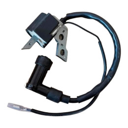 Катушка зажигания (модуль зажигания) генератора 152F (5Hp) Катушка зажигания (модуль зажигания) генератора 152F (5Hp)