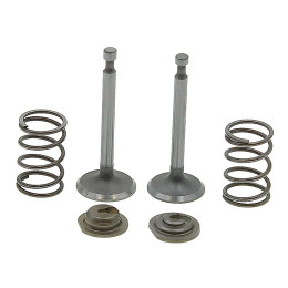 Впускний та випускний клапани генератора 168F (L1 62.2 L2 64 мм)